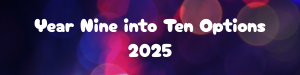 Year Nine into Ten Options 2025 (1)