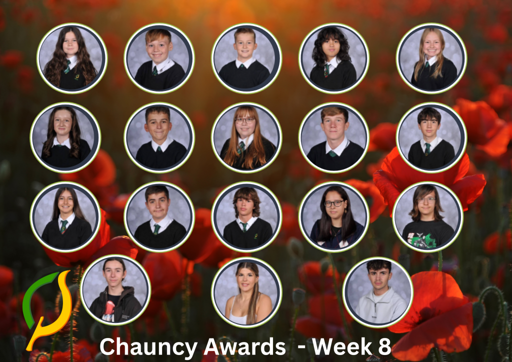 Chauncy Awards Week 08