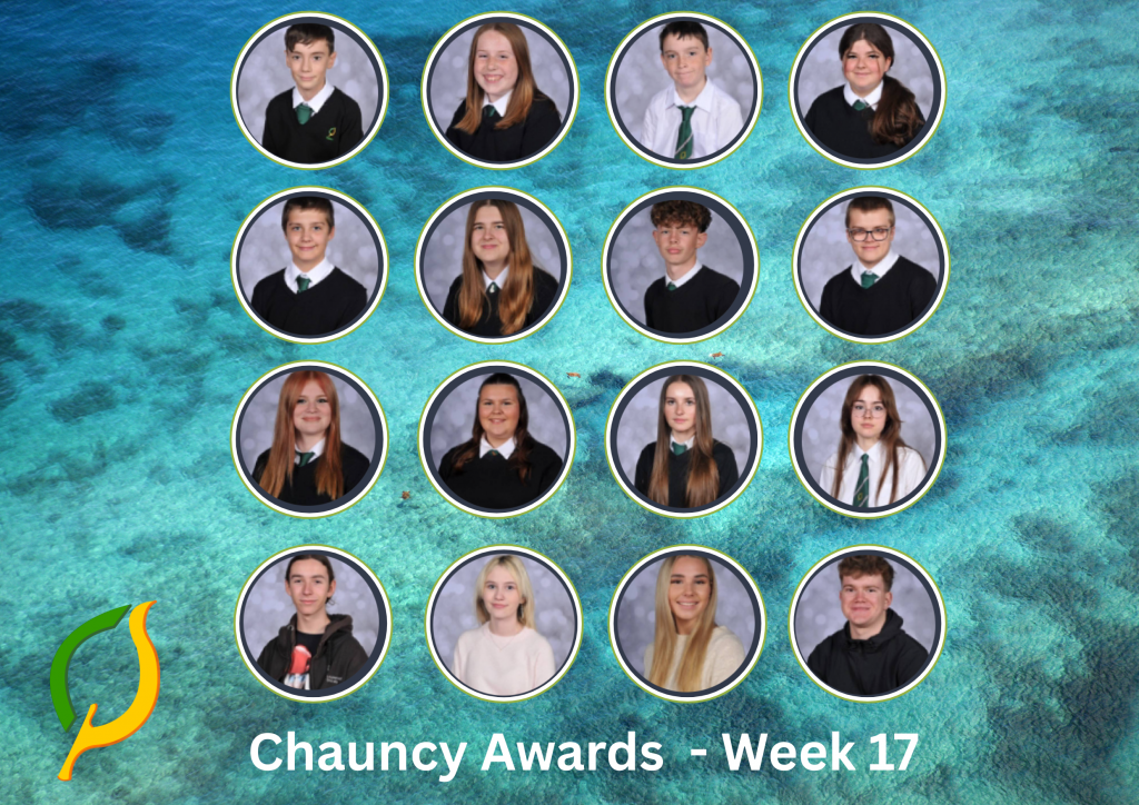 Chauncy Awards Wk 17