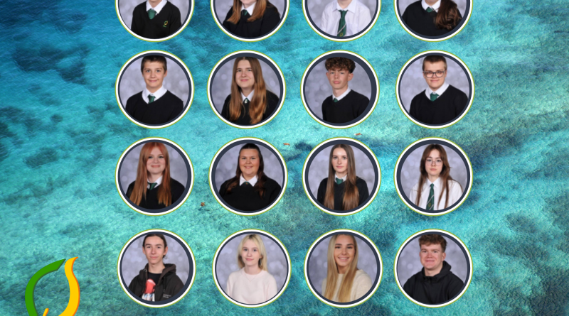 Chauncy Awards Wk 17