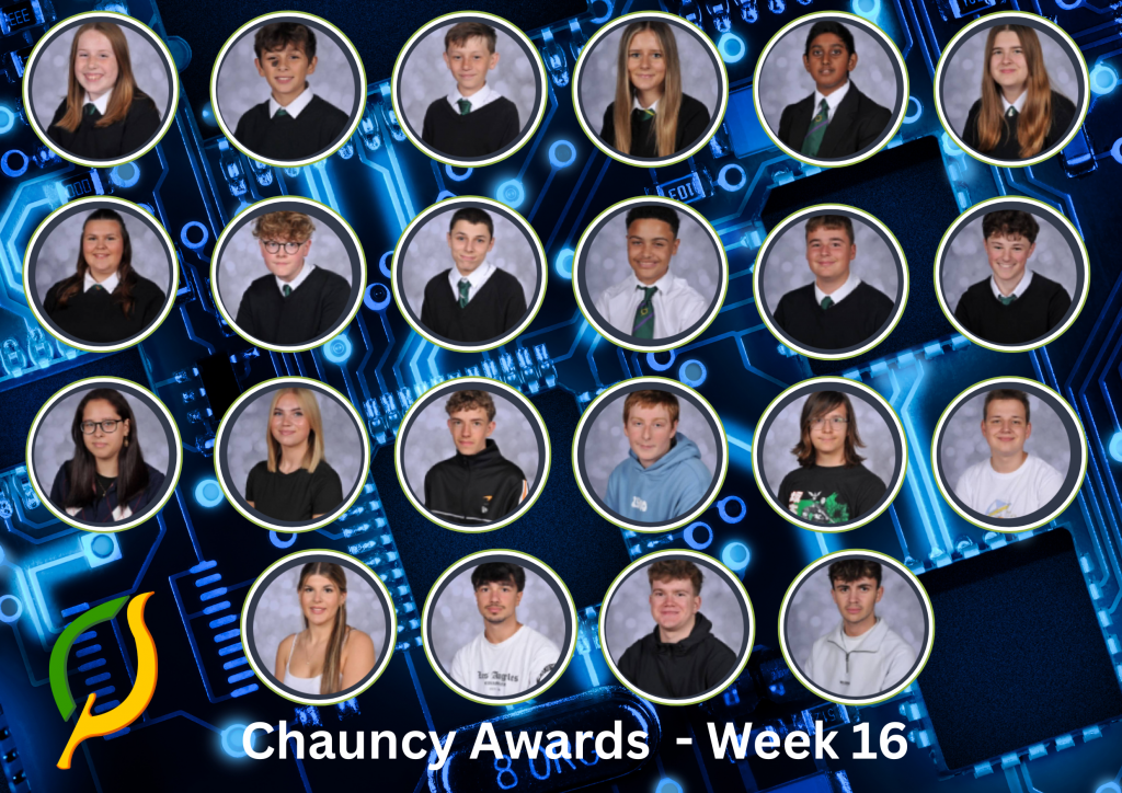 Chauncy Awards Week 16
