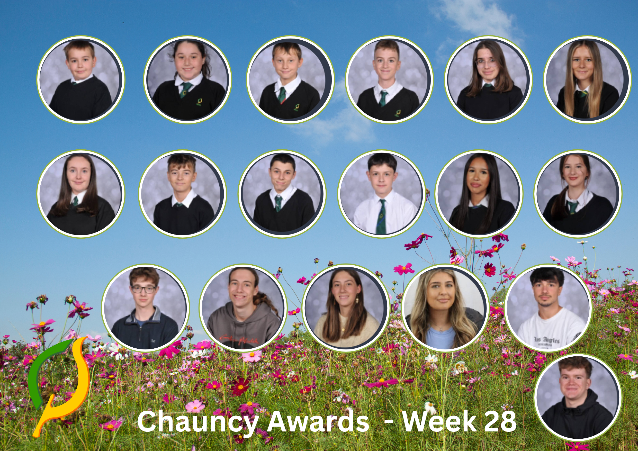 Chauncy Awards Week 28